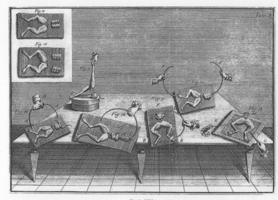 Galvani’s experiments in which a circuit is established between metals and the frog’s nerves and muscles. From De viribus electricitatis in motu musculari, 1791