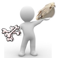 omino archeozoologia